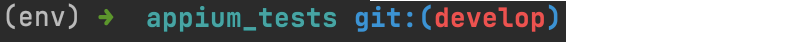 virtual_environment_active.png